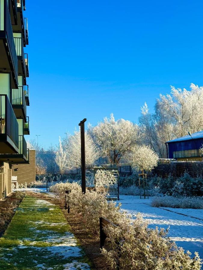 Old Town Nadmotławie - Sauna & Gym I 10min deptak - B&B