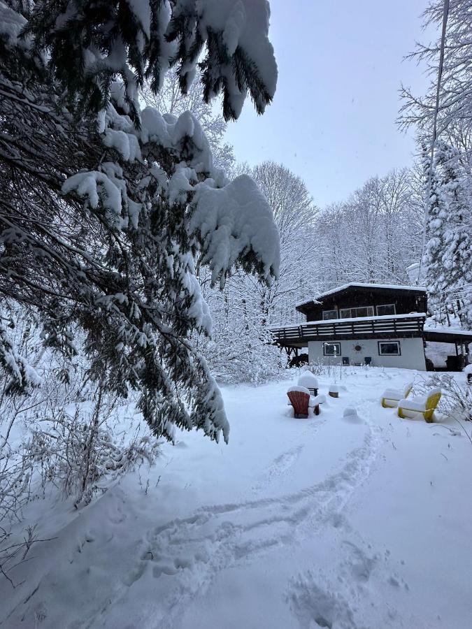 B&B Lac-Sainte-Marie - Chalet dans les arbres. 3 ch. /trees house 3bdr - Bed and Breakfast Lac-Sainte-Marie