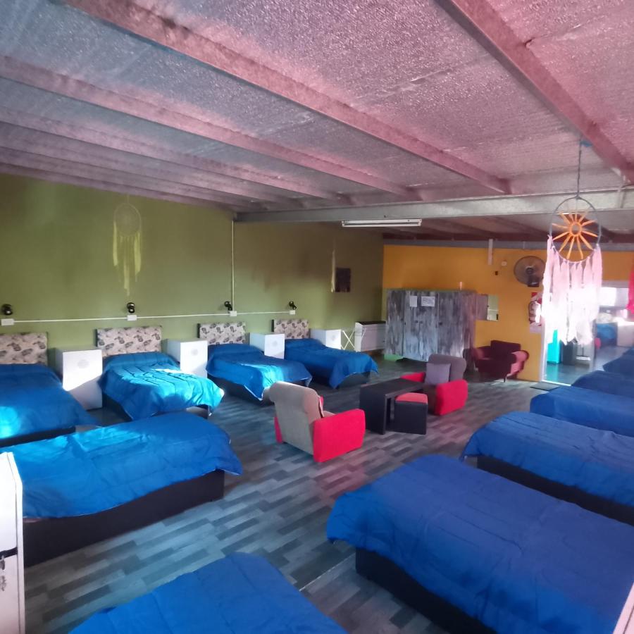 Cama en habitación compartida mixta de 10 camas