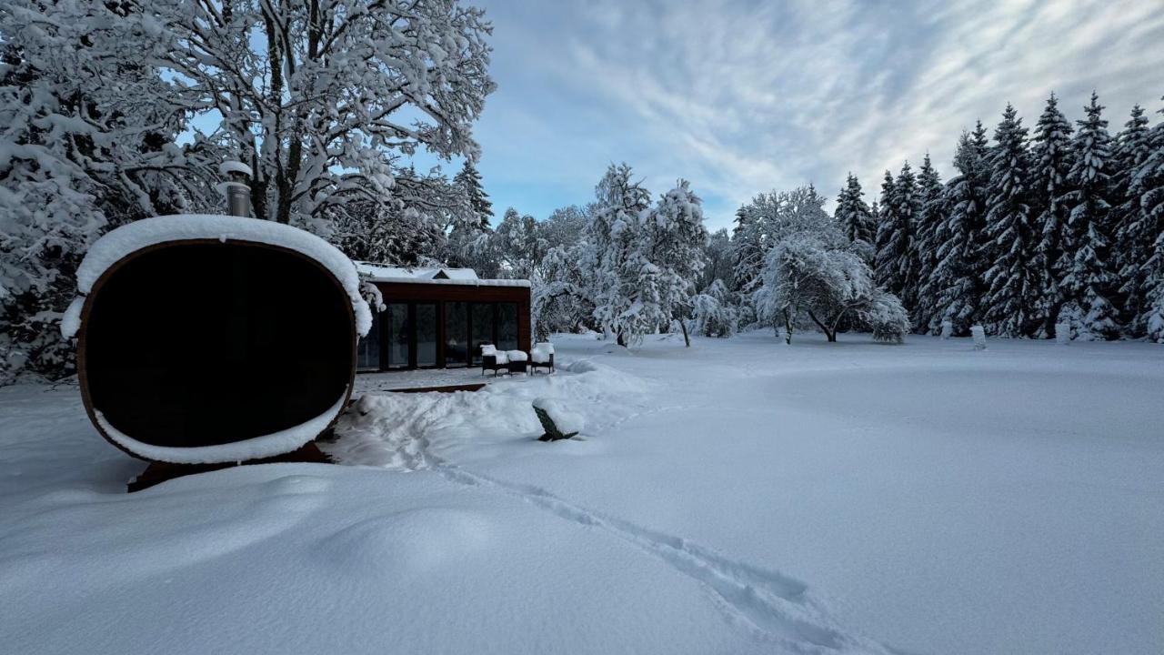 Puhkemaja metsa sees - B&B Urvaste