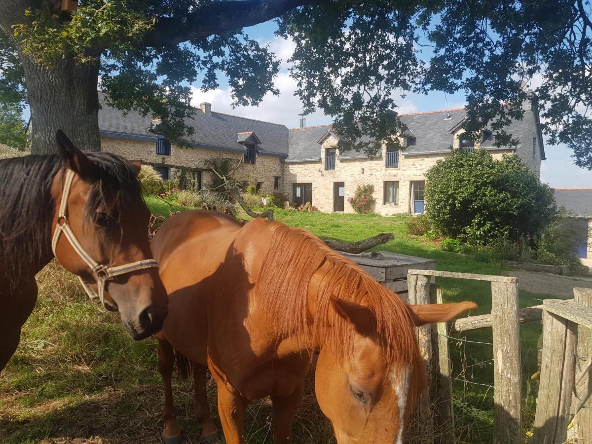 Gîte de charme en pleine nature - Chambres d’hôtes