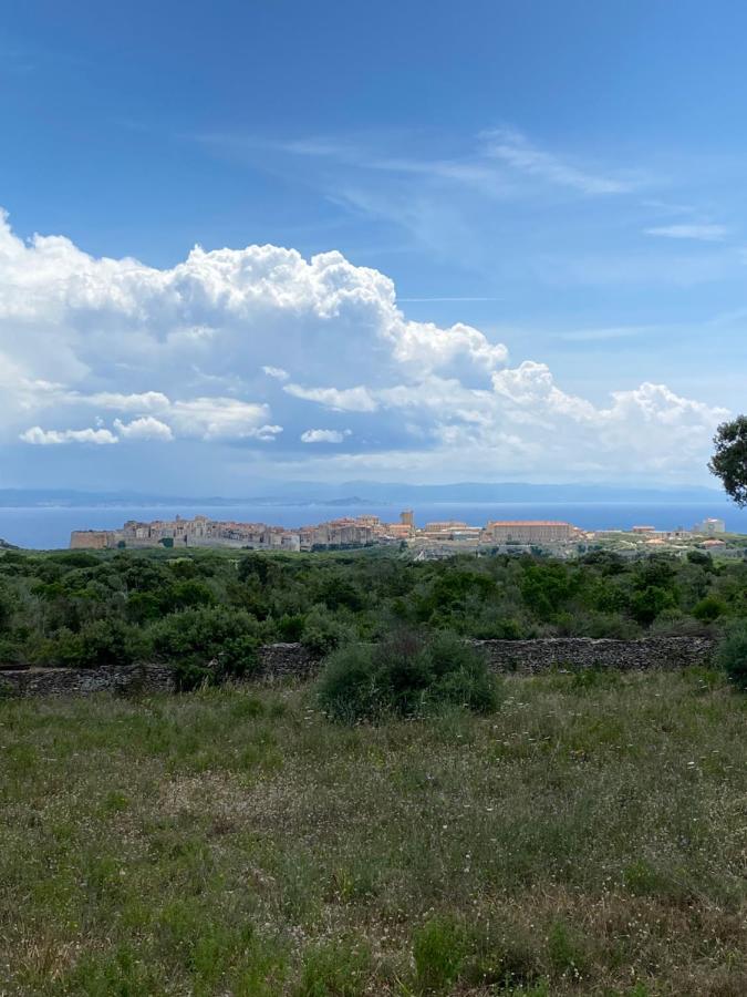 Petit chalet d’été avec piscine privée chauffée - Chambres d’hôtes Bonifacio