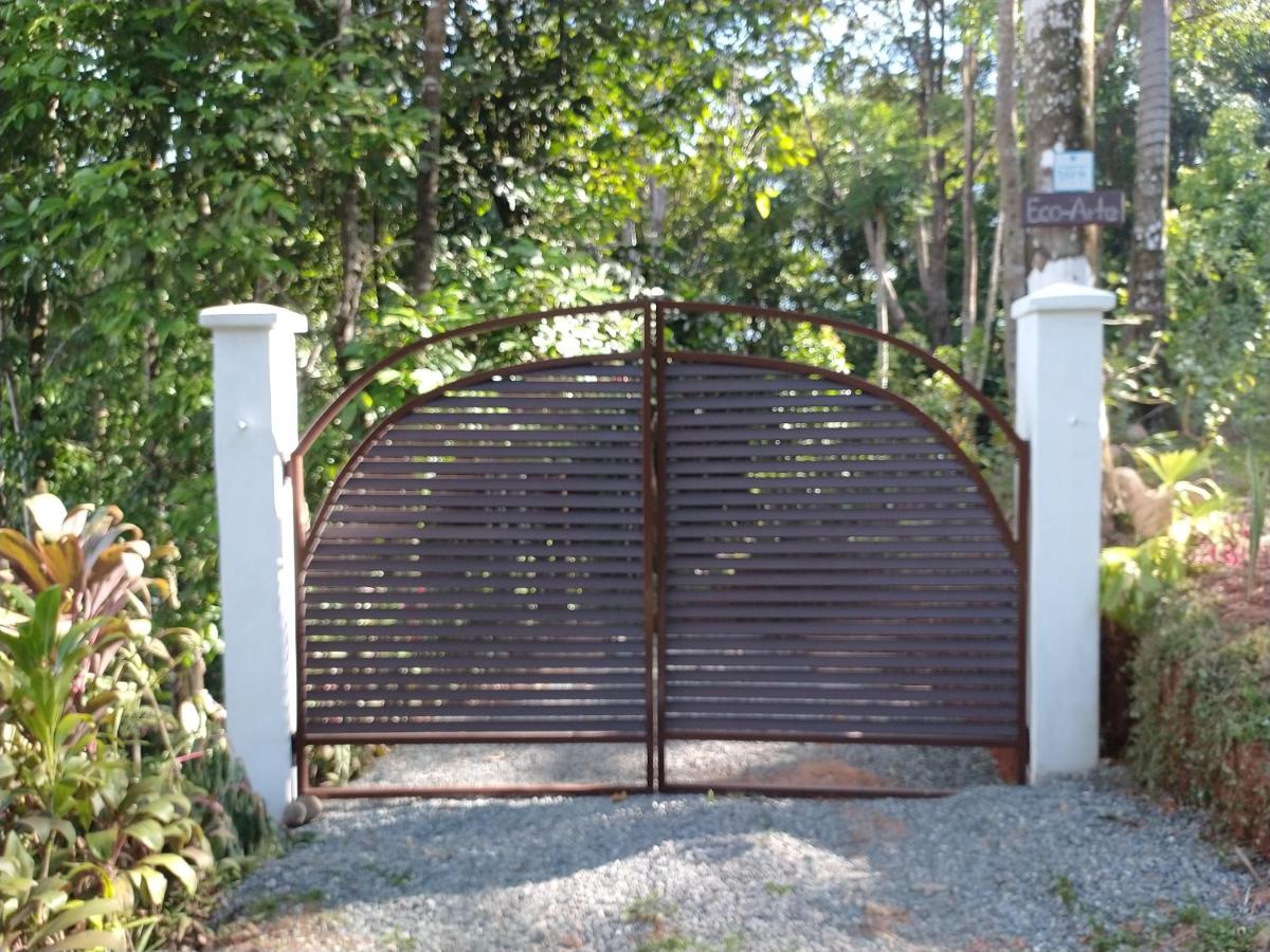 Cabaña Eco-Arte - B&B Tortugal