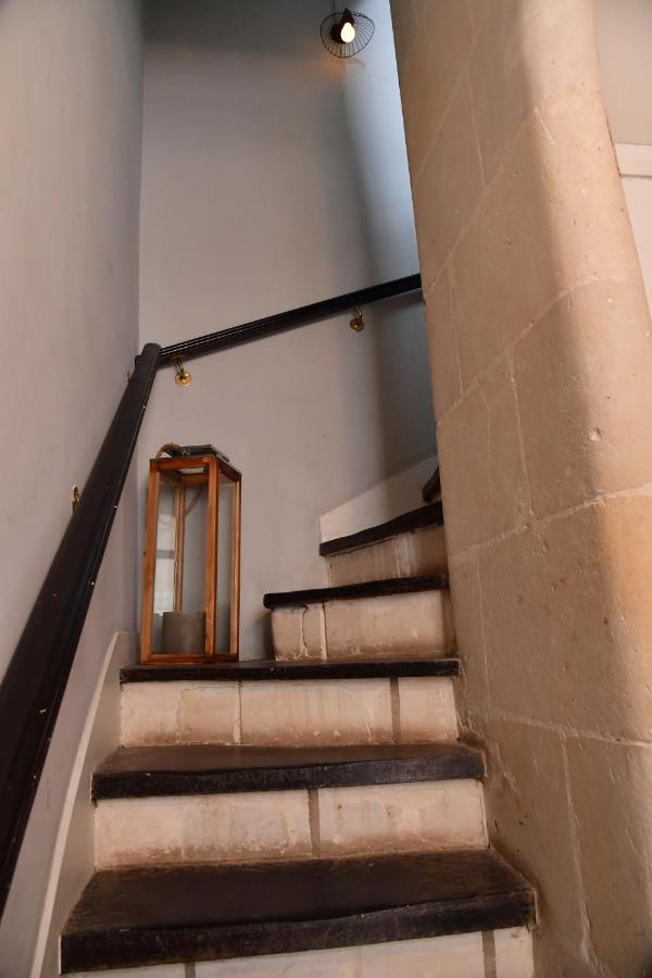 Les sternes de st Mathurin sur Loire , vue Loire - Ferienwohnung