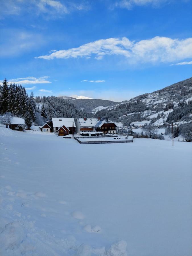 B&B Sankt Georgen ob Murau - Pension Edlinger - Bed and Breakfast Sankt Georgen ob Murau