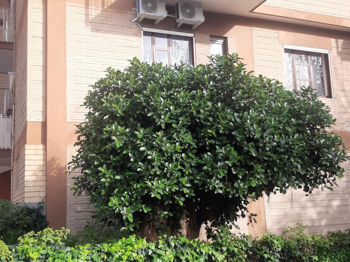 Nuova Luna - B&B Salerno
