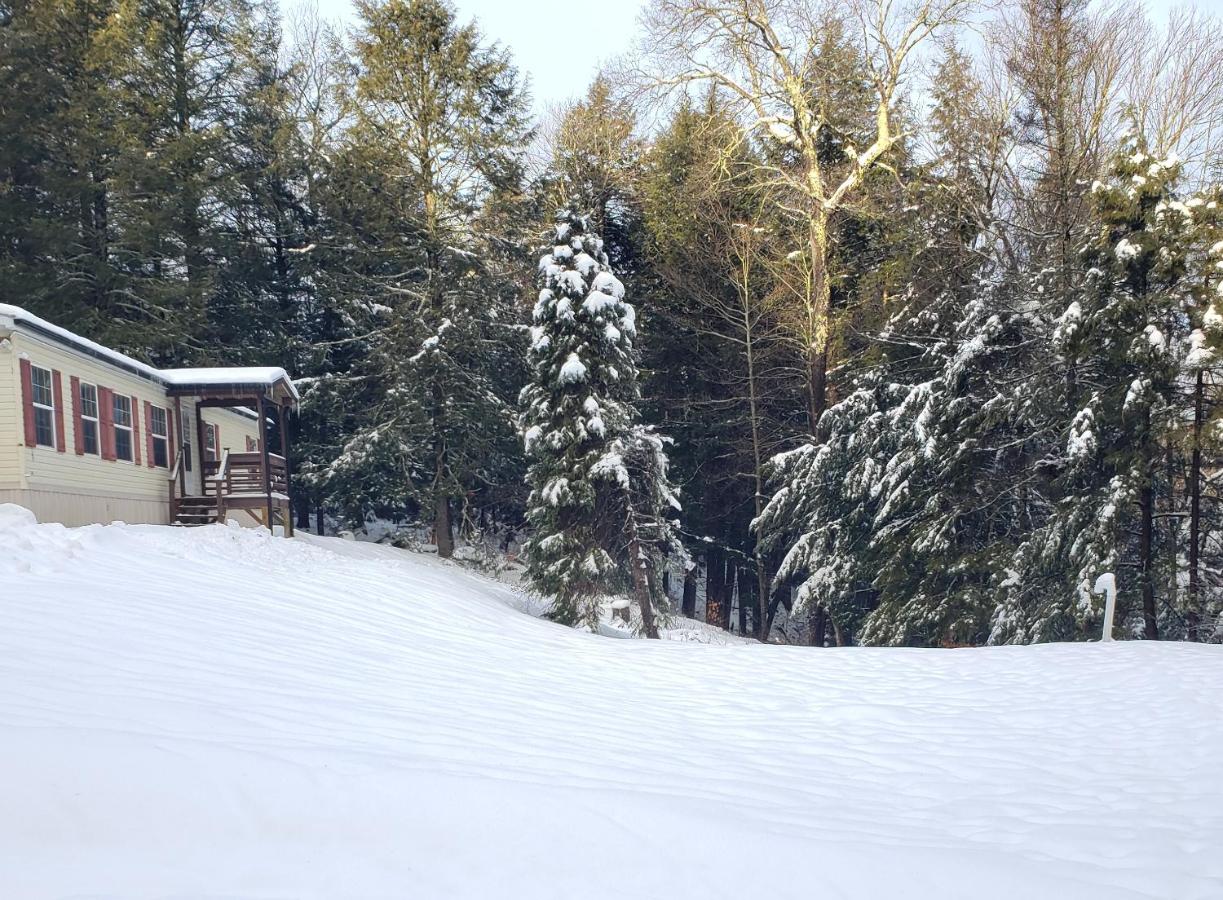 Tranquil renovated house in woods - great for families year around - B&B Tannersville