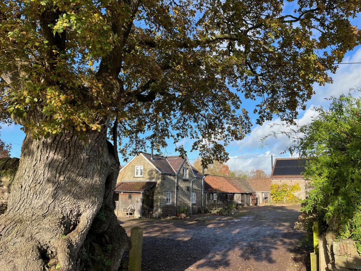 B&B Usk - The Bothy at Oak Farm - Bed and Breakfast Usk