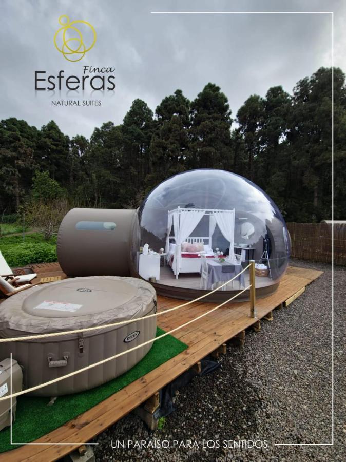 Finca Esferas - B&B La Guancha