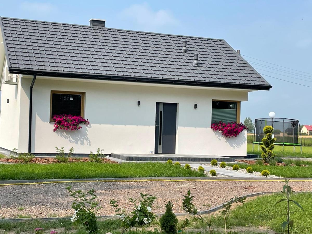 Leśny Horyzont Bałtów - B&B