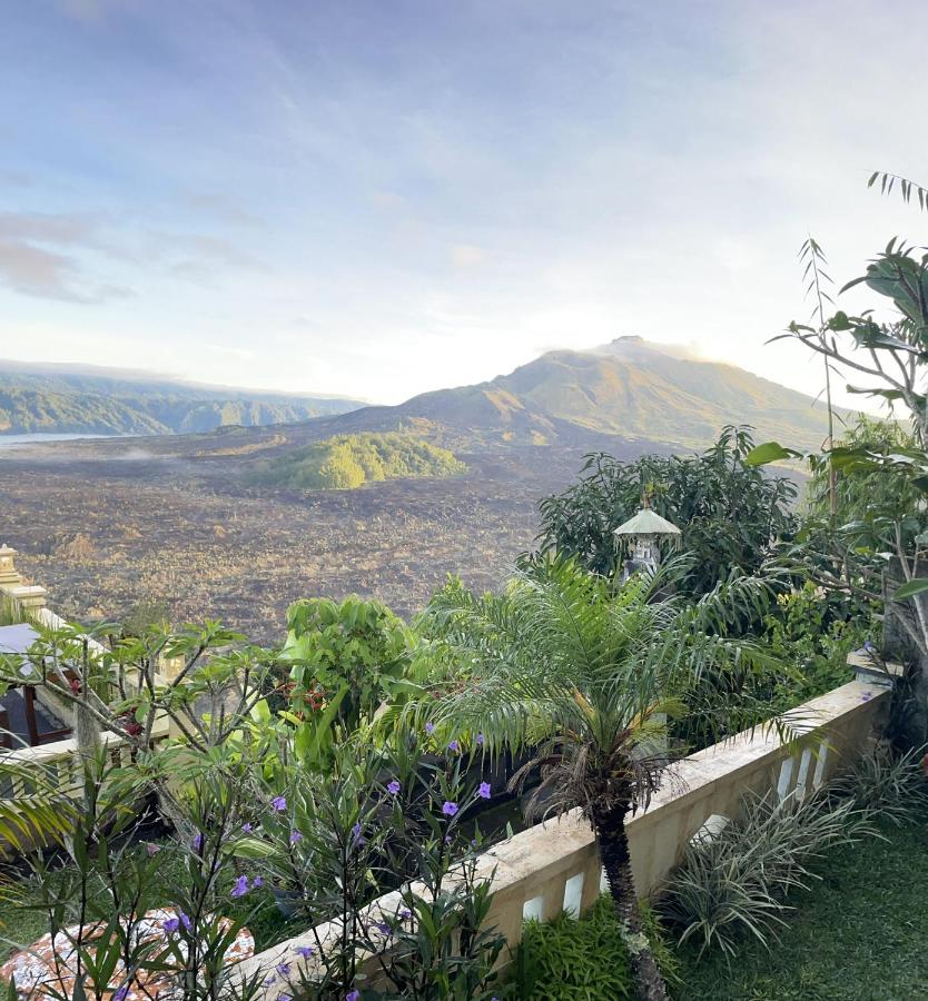 Superior Double or Twin Room with Mountain View