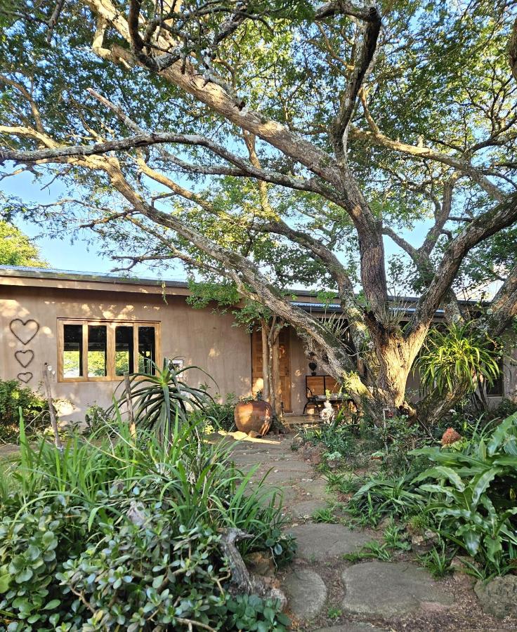 Tchagra House - B&B Hluhluwe