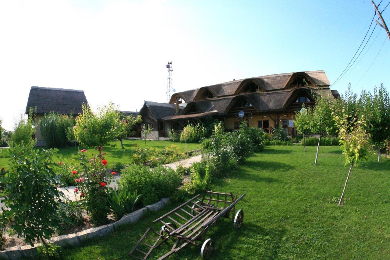 Pensiunea Heracleea - Chambres d’hôtes