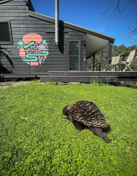 PencilWood Farm - Berry rainforest sanctuary - Ferienwohnung