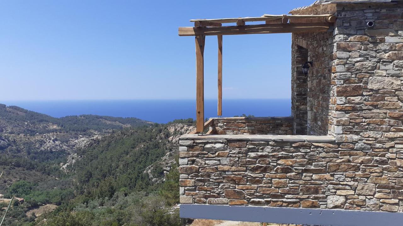 Superior Villa