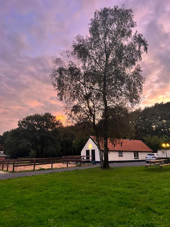 B&B Garderen - Tiny house Veluwse Garre - Bed and Breakfast Garderen