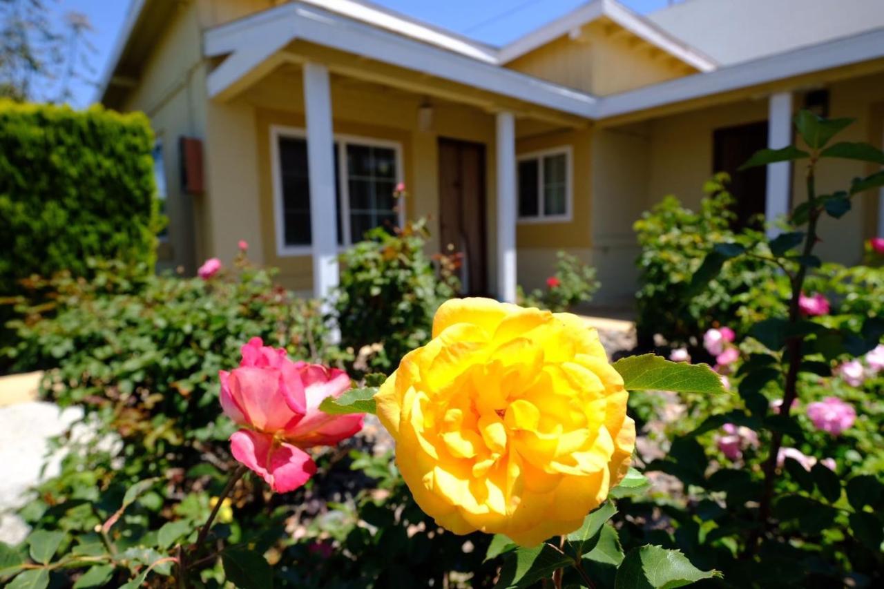 Royal Inn and Suites - B&B