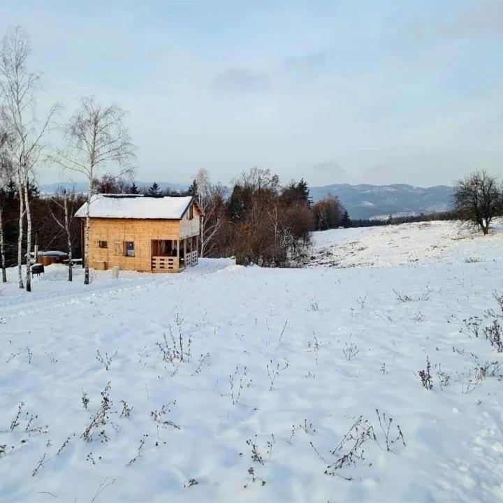 Leśna Chatka Kotlina Kłodzka - B&B Kłodzko