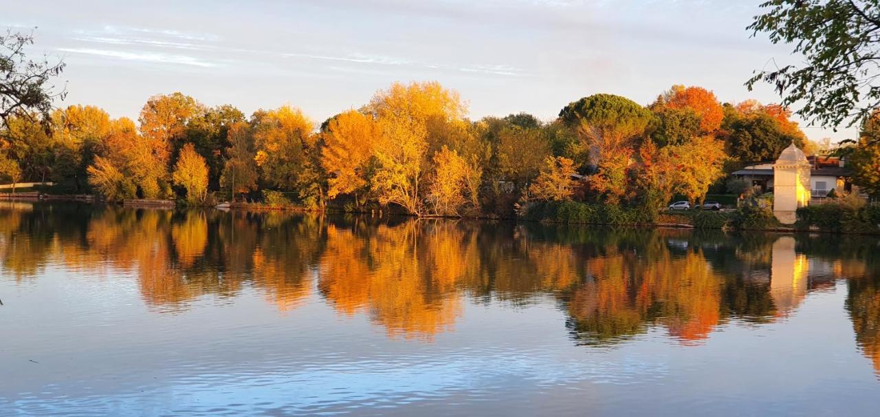 B&B Labastide-de-Lévis - Les berges du Seudo - Bed and Breakfast Labastide-de-Lévis