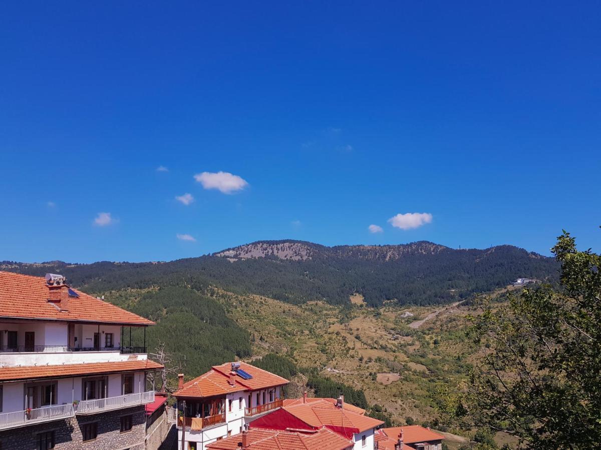 MetsoVillas στο Κέντρο του Μετσόβου - B&B Metsovo