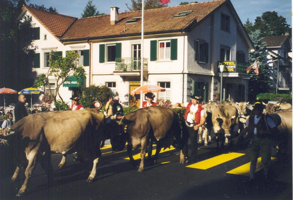 Park - Ferienwohnung Heiden AR