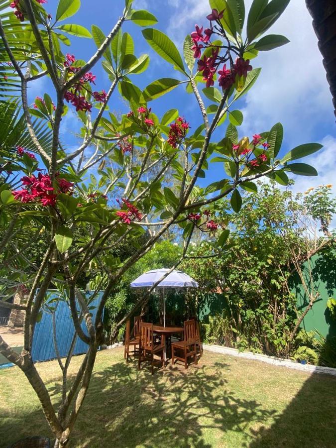 Pousada Pipa Brasil - B&B