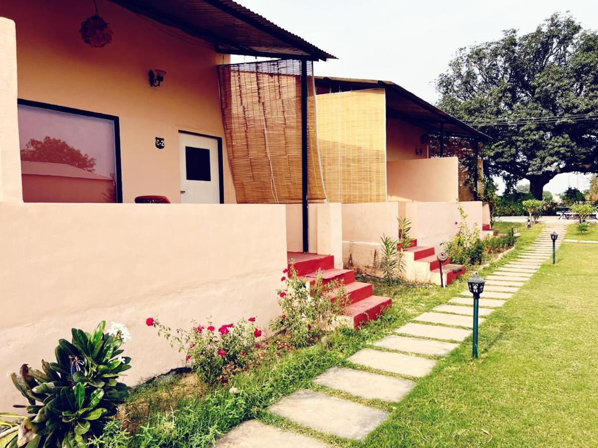 B&B Sawai Madhopur - Jungle Book Ranthambore - Bed and Breakfast Sawai Madhopur