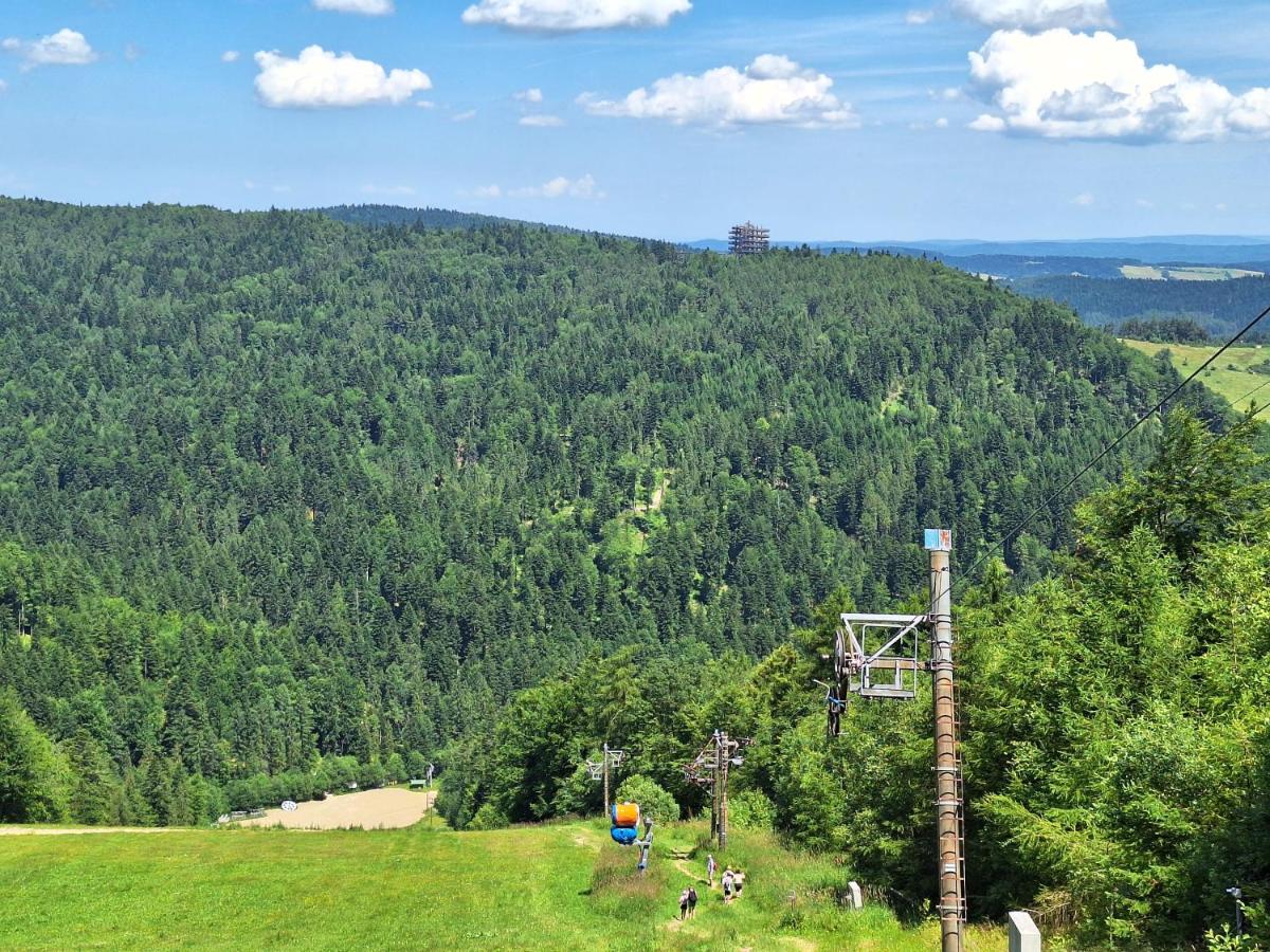 Camera Doppia con Letti Singoli con Vista Giardino
