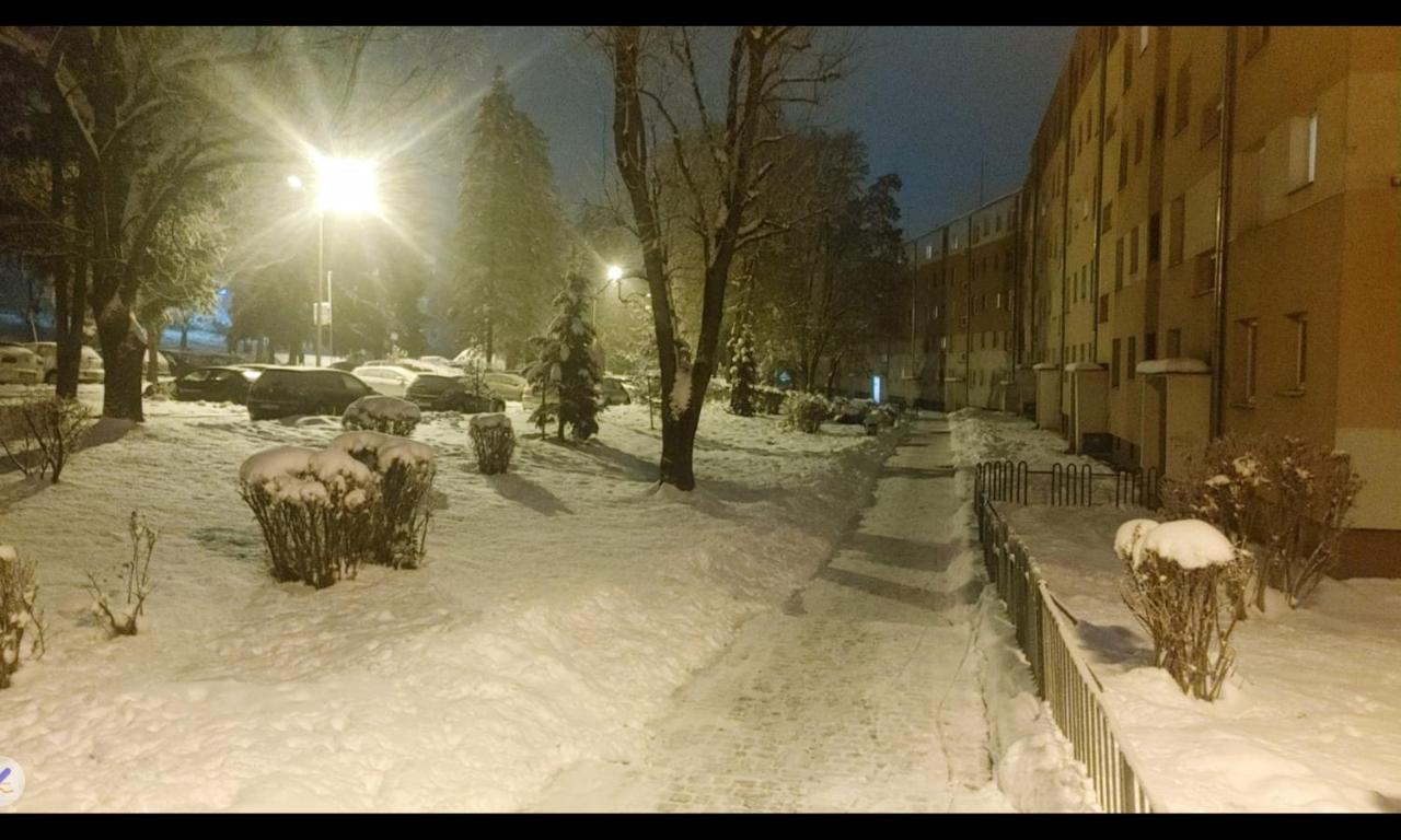 Apartament Przemyślany - Bed and Breakfast Przemyśl