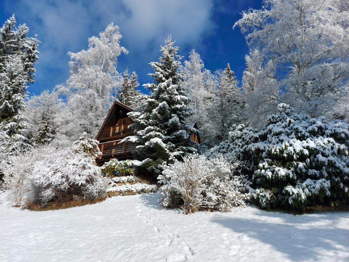 Chalet Bellevue Rogla - B&B Zrece