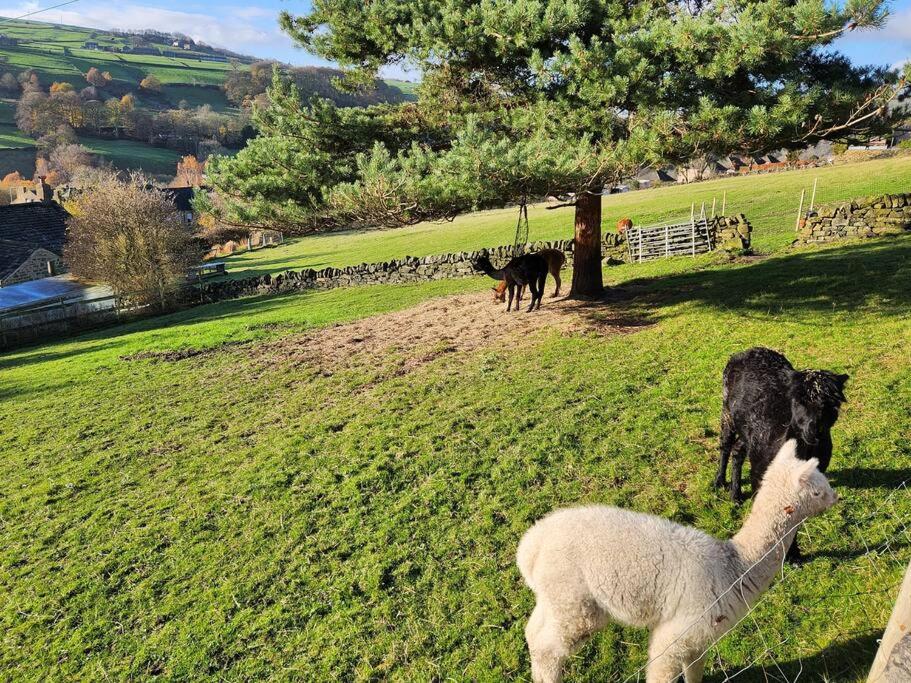 B&B Luddenden Foot - 2 Victoria Place - Luddendenfoot - Bed and Breakfast Luddenden Foot