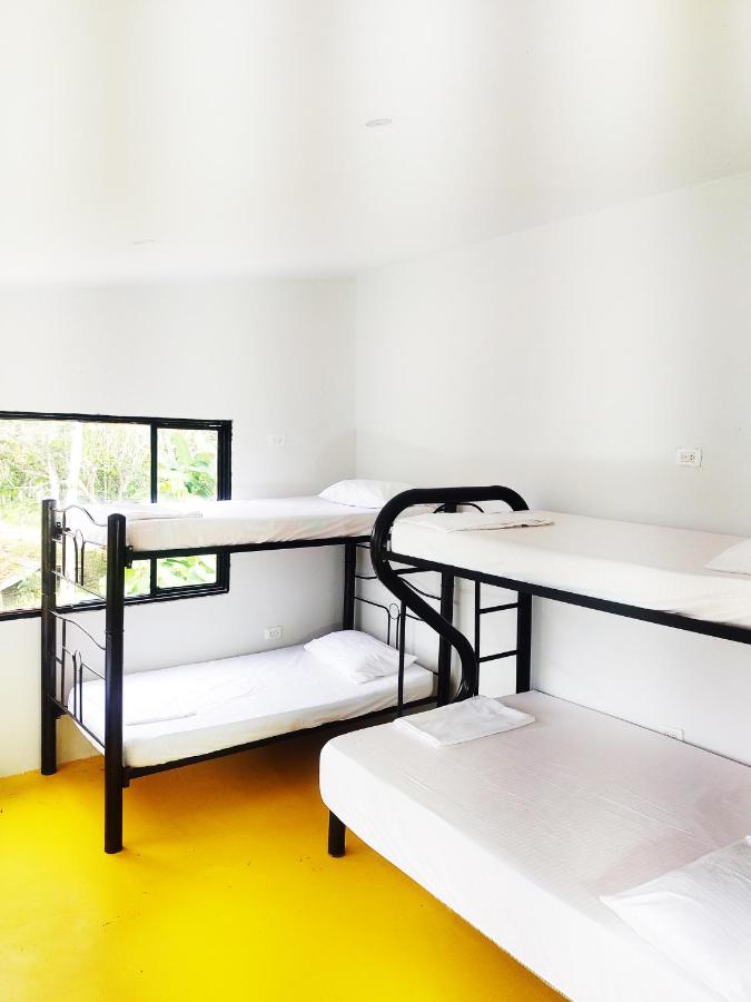 Bed in 6-Bed Dormitory Room