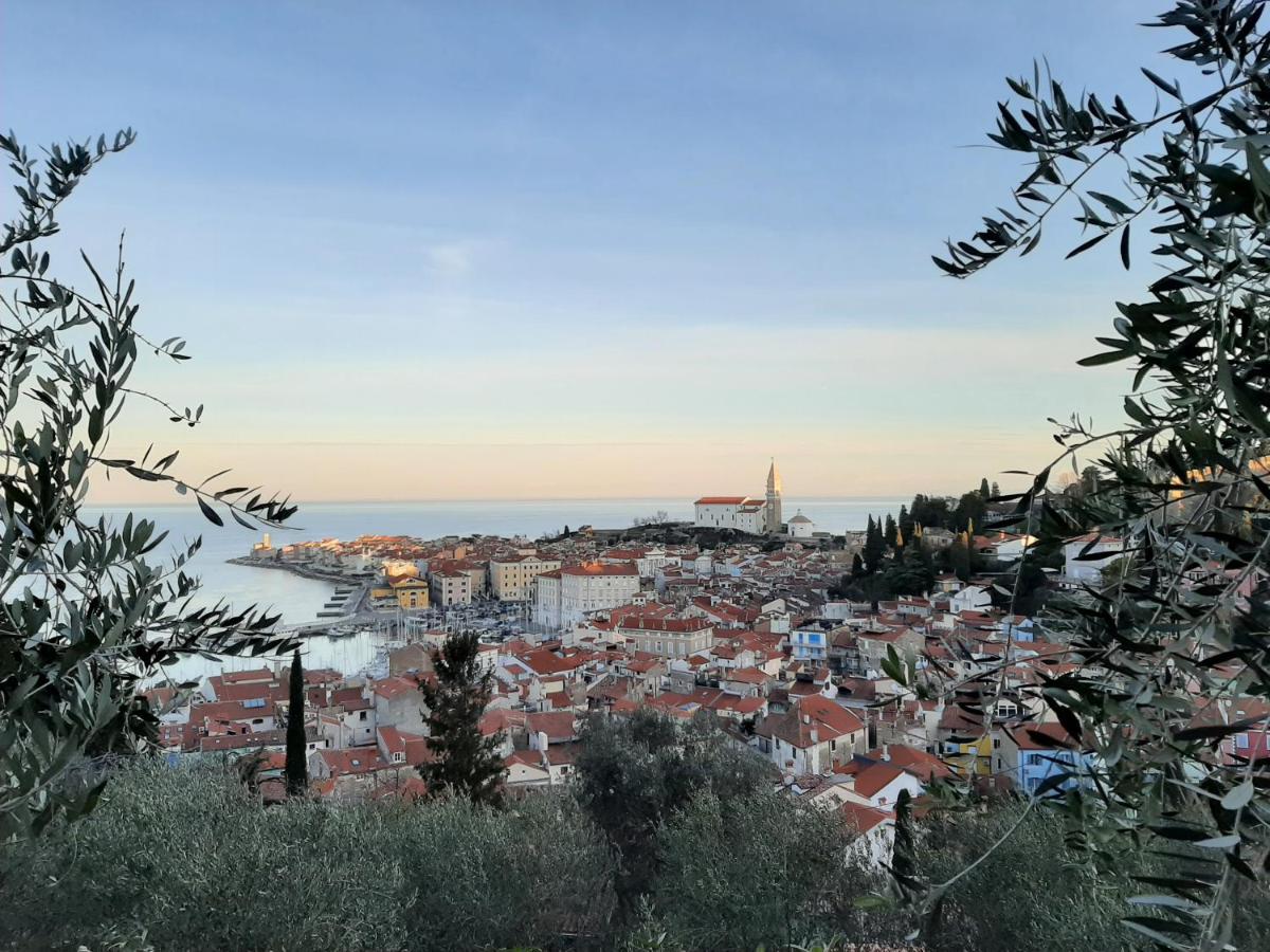 Studio Friends - Ferienwohnung Piran