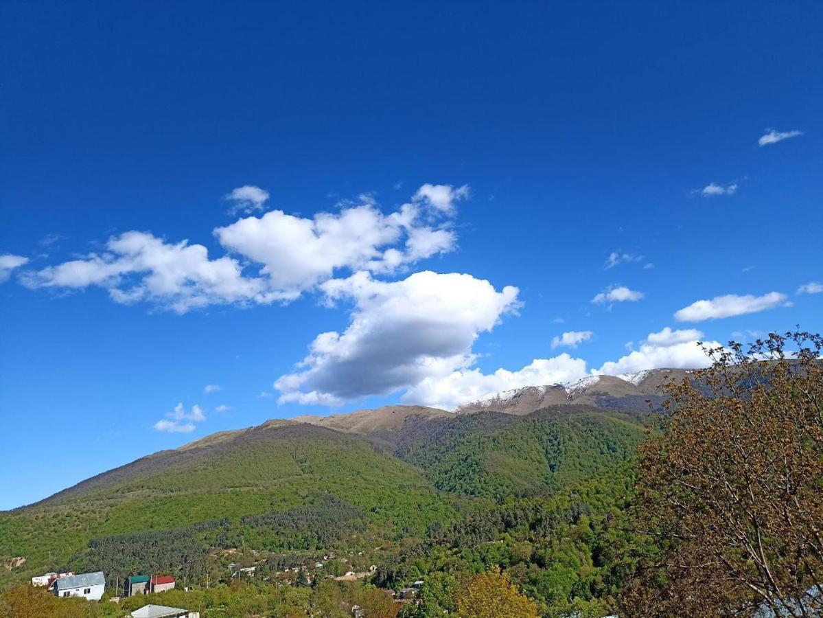 Taqnvac hrashq - B&B