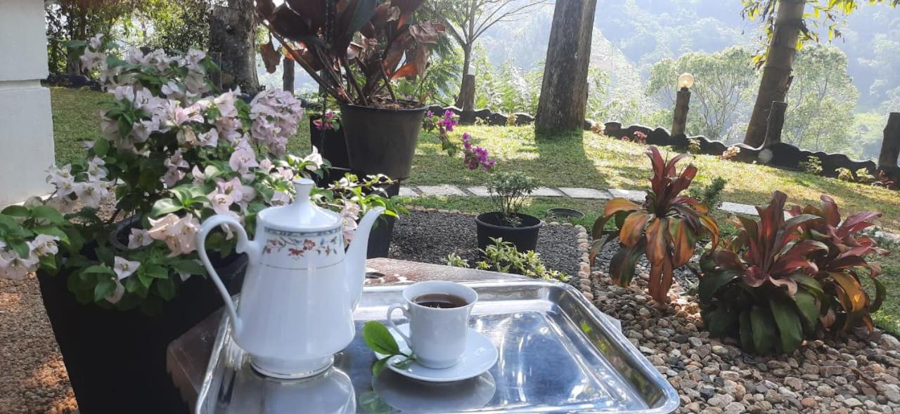 Ceylon Rich Leaves Ella - B&B