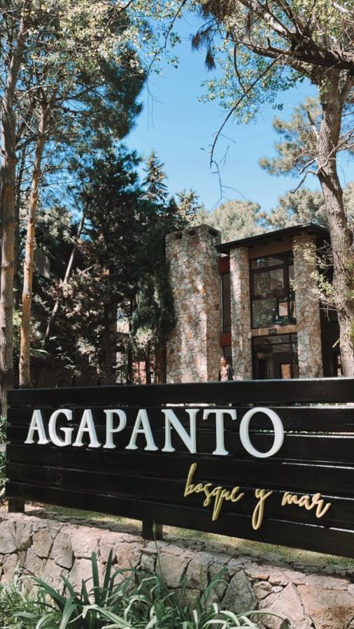 Pet Friendly Complejo Agapanto