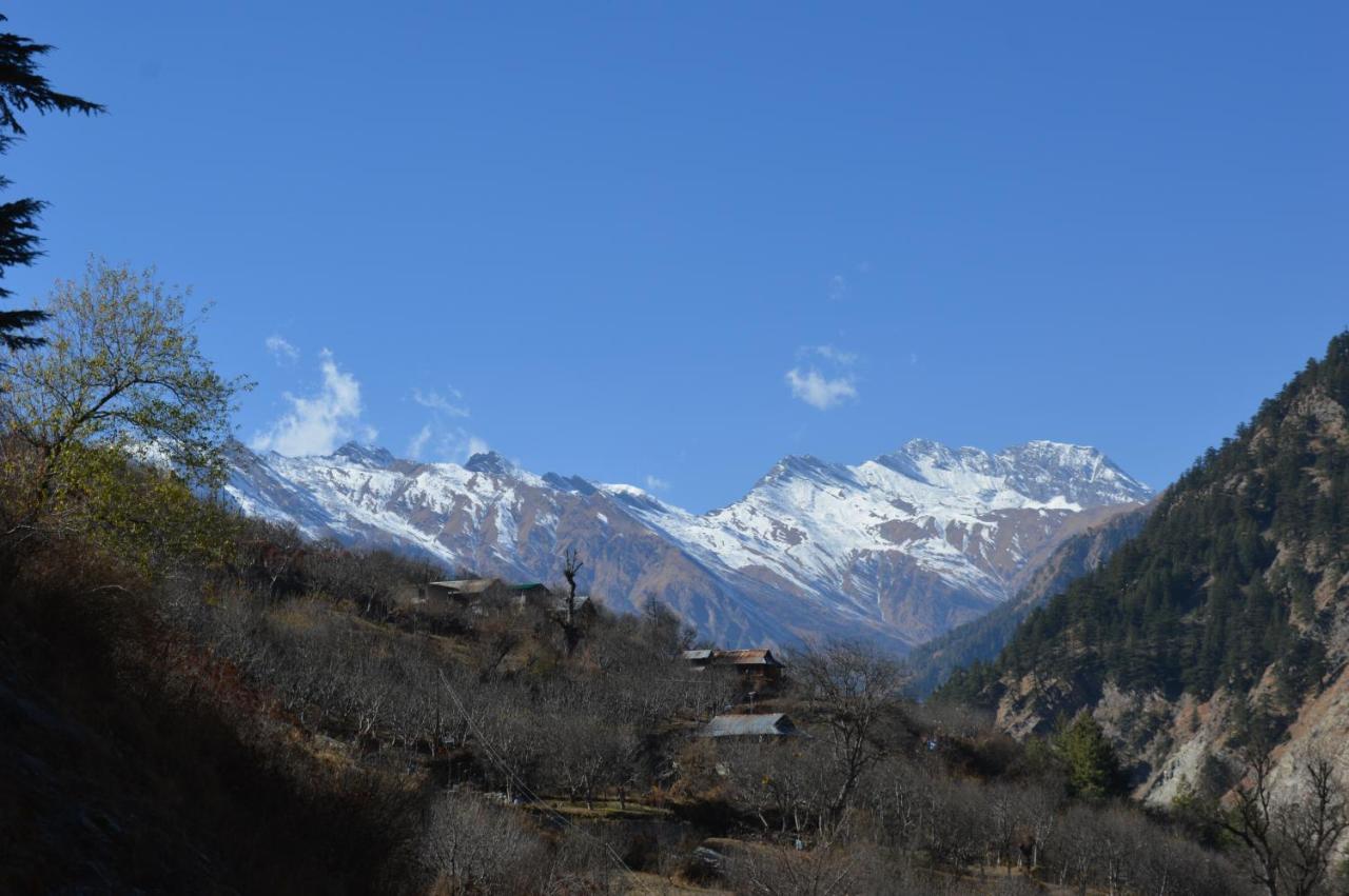 King Room with Mountain View