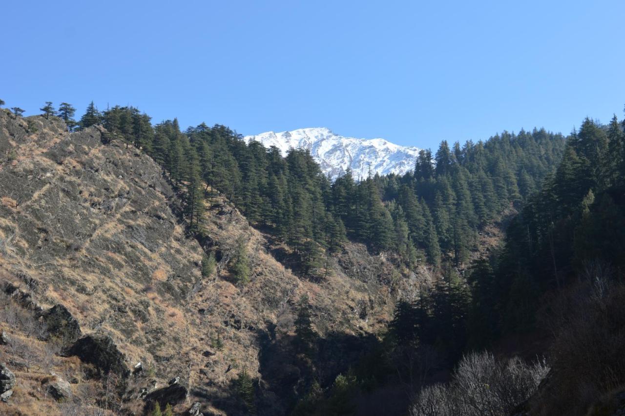 Family Room with Balcony