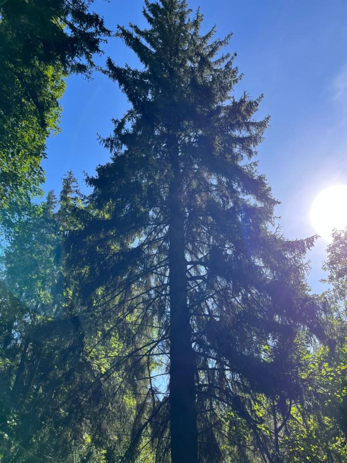 Krásný apartmán uprostřed Jeseníků - Chambres d’hôtes Bruntál