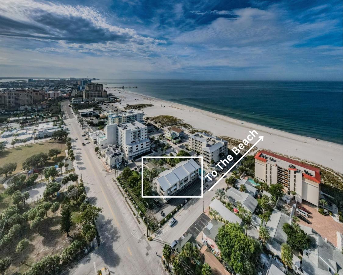Fins Up in Clearwater Beach - B&B Clearwater Beach
