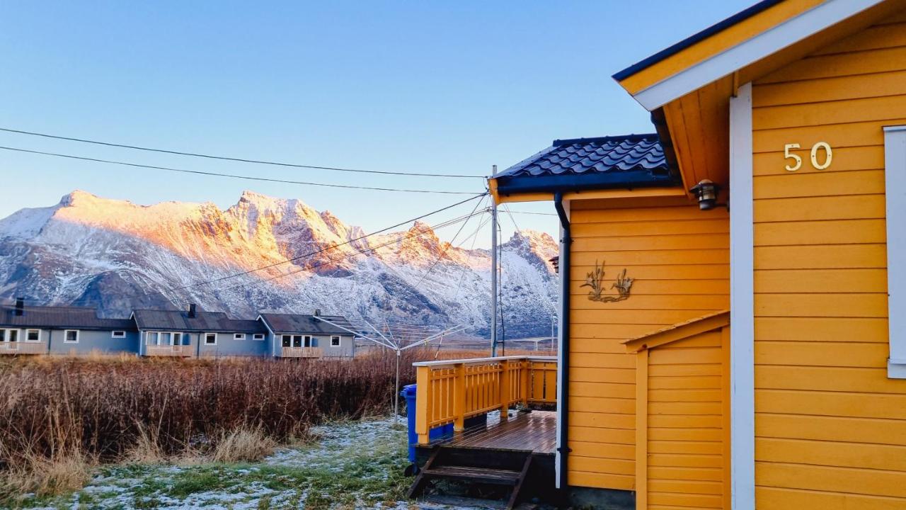 Lofothuset - koselig hus på Fredvang - B&B