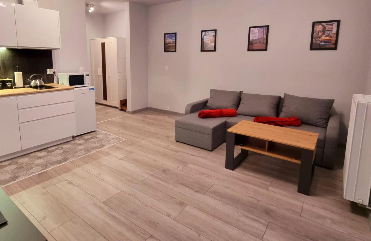 Apartament Kopernika 49 - B&B Łódź