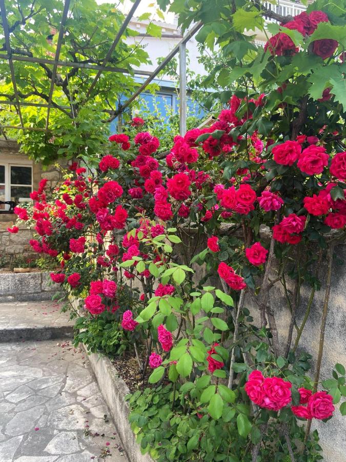 Villa Mar Vintage Apartments - B&B Ragusa