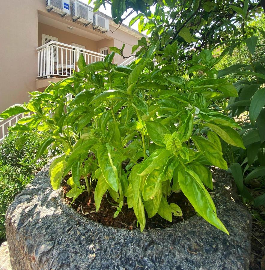 Appartement 2 Chambres avec Balcon