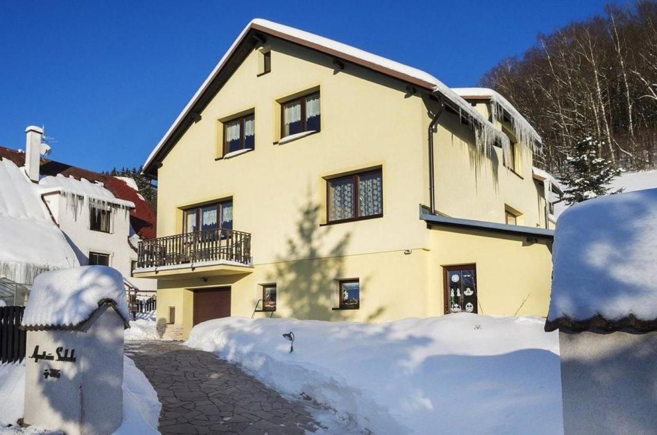 Apartmán Svoboda - B&B Svoboda nad Úpou