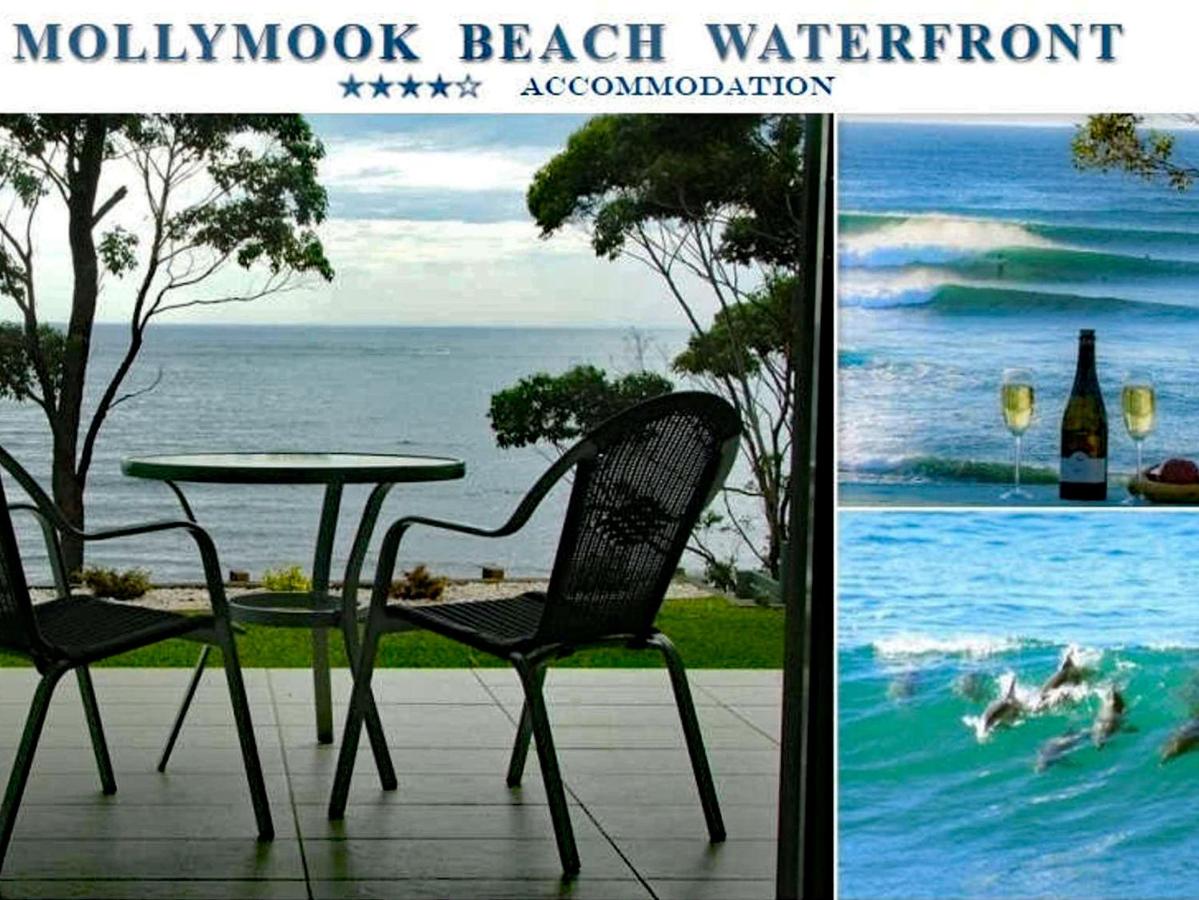 B&B Mollymook - Mollymook Beach Waterfront - Bed and Breakfast Mollymook