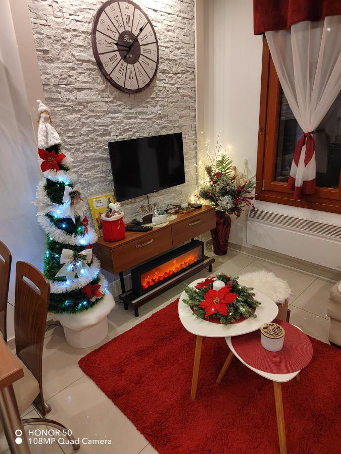 B&B Vrnjačka Banja - Vesna Apartman - Bed and Breakfast Vrnjačka Banja