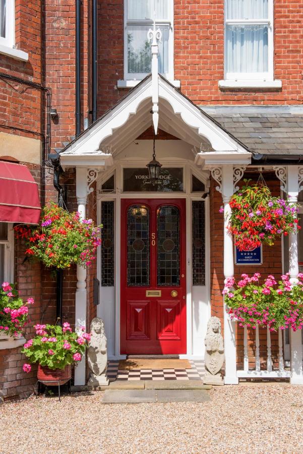 Yorke Lodge Bed and Breakfast - B&B