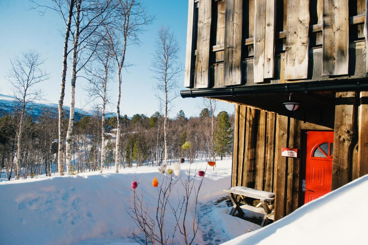 Holiday Home Nedre Ripan