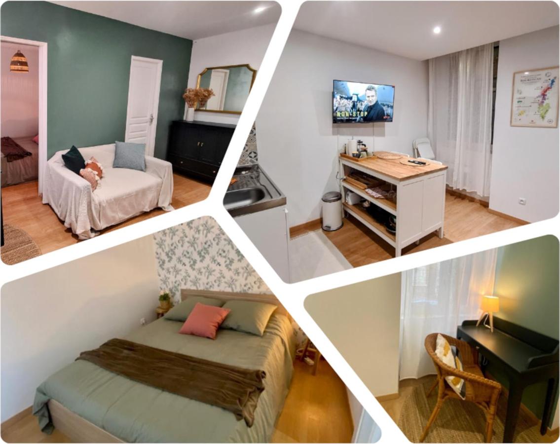 Serene 1BR Oasis in the Heart of Sens Center - B&B Sens